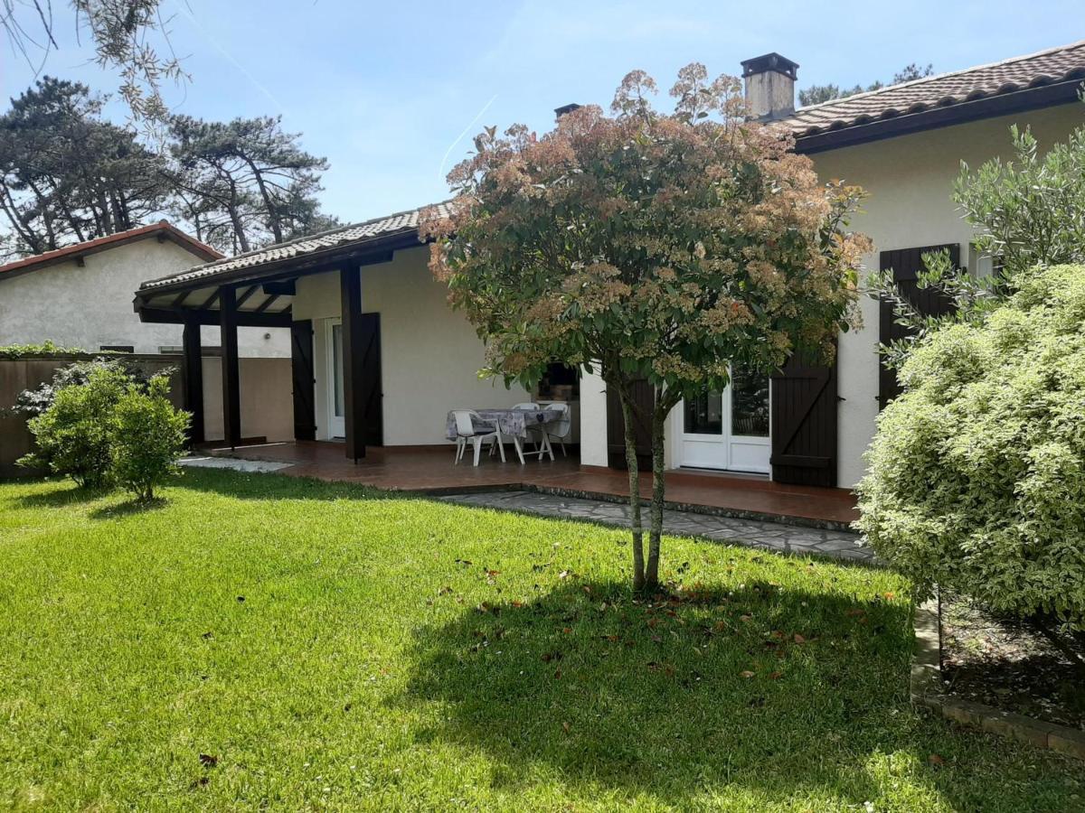 Maison 4 Chambres Avec Jardin Clos, Proche Plage Et Centre, A Vieux-Boucau - Fr-1-239-964 Vieux-Boucau-les-Bains Exterior foto