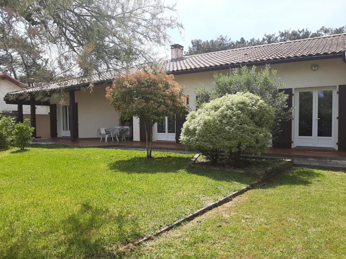 Maison 4 Chambres Avec Jardin Clos, Proche Plage Et Centre, A Vieux-Boucau - Fr-1-239-964 Vieux-Boucau-les-Bains Exterior foto